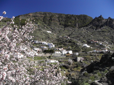 Der Ort La Culata oberhalb von Tejeda mit Mandelblüte