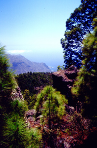 Foto von Tamabada mit Blick Richtung Süden