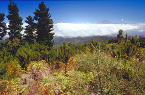 Bild von Teneriffa mit Teide von La Gomera aus gesehen
