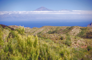 Bild von Teneriffa mit Teide von der Ostseite des Nationalparks aus gesehen.