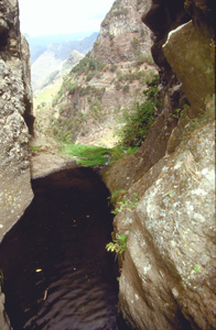Foto vom Becken vom dem aus der grosse Wasserfall des Barrancos del Cedro entspringt.