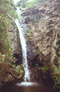 Bild vom Wasserfall am oberen Ende des Barrancos del Cedro.
