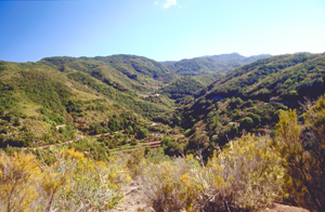 Bild vom Berg Garajonay mit gleichnamigen Nationalpark